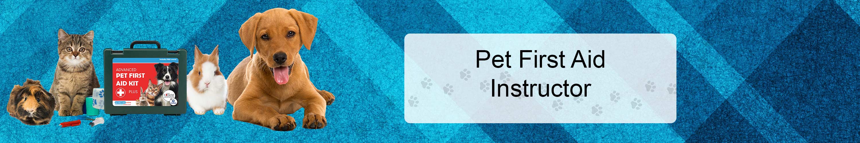 pet first aid instructor banner